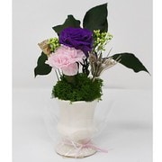 AKF-041 [プリザーブドフラワー 仏花 彩 花器付き]