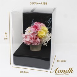 大特価放出！ - ヨドバシ.com A＆K ギフト [プリザーブドフラワー MF-10 その他