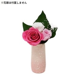 プリザーブドフラワー 保夢（赤）花器なし AKF-071