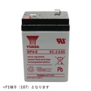 制御弁式鉛蓄電池 6V NP4-6
