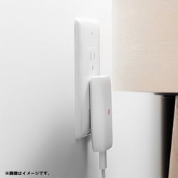 ヨドバシ.com - Twelve South トウェルブサウス TWS-OT-000023 [USB AC