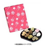 浅草祭TKM 230g