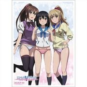 ストライク・ザ・ブラッド スリーブ 姫柊雪菜＆藍羽浅葱＆煌坂紗矢華 [キャラクターグッズ]