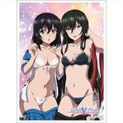 ストライク・ザ・ブラッド スリーブ 姫柊雪菜＆妃崎霧葉 [キャラクターグッズ]