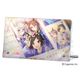 ウマ娘 プリティーダービー アクリルプレート Vol.3 3.  ビワハヤヒデ＆ナリタタイシン＆ウイニングチケット [キャラクターグッズ]