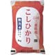 無洗米 三重県産 こしひかり 5kg 令和6年産