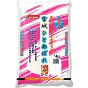 無洗米 宮城県産 宮城ひとめぼれ 5kg 令和5年産