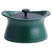 best pot(ベストポット) 16cm 土鍋 1.5合 ティーリーフグリーン BP16-TG