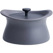 best pot(ベストポット) 16cm 土鍋 1.5合 アッシュグレー BP16-AG