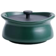 best pot mini Shallow(ベストポットミニ シャロー) 土鍋 0.7合 ティーリーフグリーン BPMS-TG