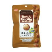 プレミアムポケッツ塩キャラメルマカダミア45g