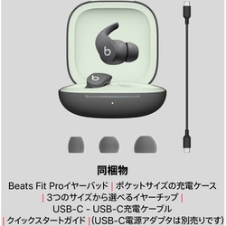 ヨドバシ.com - ビーツ・バイ・ドクタードレ Beats by Dr.Dre Beats