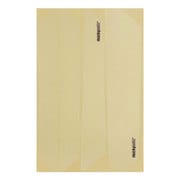 SKINZ STAY PROTECTION CLEAR MAT BK フレームプロテクション 93-3900201192