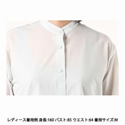 Amazon | [ザノースフェイス] L/S Param Shirt | Tシャツ・カットソー 通販