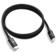 FOTOS用ケーブル USB-C(1m) 24031