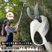 bakibakikun [電動 高枝切りバサミ バキバキ君]