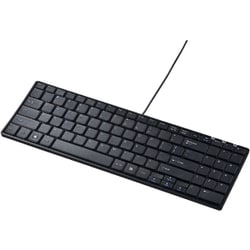 キーボード 有線 USB A USBキーボード テンキーあり パンタグラフ コンパクト 英語配列（US） Windows ブラック SKB-E2UN
