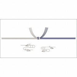 のし紙 豆判7号 蓮 京 2-37