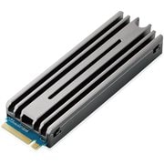 内蔵SSD ESD-IPSシリーズ 1TB M.2 2280 PCIe Gen4.0 x4 ヒートシンク付き PS5対応 取付用ドライバー付き ESD-IPS1000G