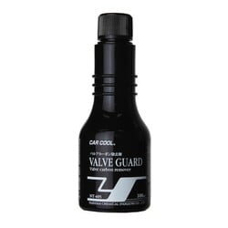 カークール バルブガード（バルブカーボン除去剤） 100ml NT-605