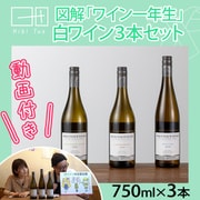 ワイン1年生白ワインセット（ワインのみ） HT-9 [白ワイン]