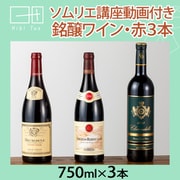 まなべるシリーズ ソムリエ講座付き 赤ワインセット（フルボトル） HT-6 [赤ワイン]