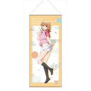 やはり俺の青春ラブコメはまちがっている。完 描き下ろし BIGタペストリー テニスウェア Ver. 一色いろは [キャラクターグッズ]