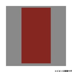 509826 [アクリルバン 884×3×235 パープル]