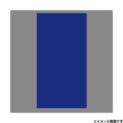 509802 [アクリルバン 2550×3×500 ブルー]