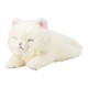 97107-11 [くたっとびより マスコット シロネコ]