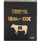 三代目たいめいけん茂出木浩司シェフ監修懐カレーDX 210g