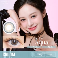 アクア ワンデー 10枚入 -4.00 [カラーコンタクトレンズ]