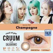 シャンパン ワンデー 10枚入 -4.25 [カラーコンタクトレンズ]