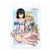 ストライク・ザ・ブラッドFINAL B2タペストリー 姫柊雪菜＆アヴローラ・フロレスティーナ [キャラクターグッズ]
