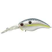 ワイルドハンチ #289 クイーンシャッド