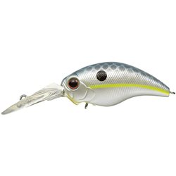 ラトルインワイルドハンチ #289 クイーンシャッド