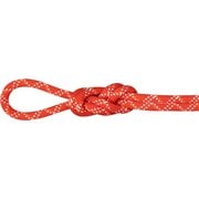 9.5 Gym Classic Rope 2010-04260 01286 Classic Standard, raspberry-white 40m [ロープ]