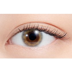 ヨドバシ.com - エヌズコレクション N's COLLECTION フルーツ