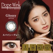 スパイシーグレー ワンデー 10枚入 -5.00 [カラーコンタクトレンズ]