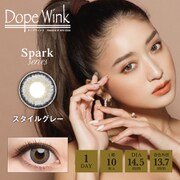 スタイルグレー ワンデー 10枚入 -5.00 [カラーコンタクトレンズ]