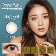 アートグレー ワンデー 10枚入 -4.75 [カラーコンタクトレンズ]