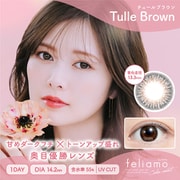 チュールブラウン ワンデー 10枚入 -8.00 [カラーコンタクトレンズ]