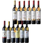 フランス有名コンクール ボルドー金賞受賞 12本セット Ver2 [赤ワイン]