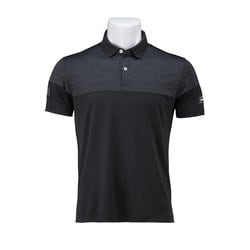 極美品 Titleist タイトリスト ビックロゴ ポロシャツ LL