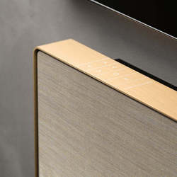 美品定価36万beosound stage gold tone Beosound Stage
