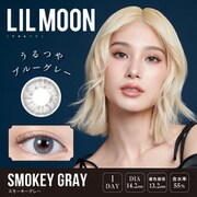 スモーキーグレー ワンデー 10枚入 ±0.00（度なし） [カラーコンタクトレンズ]
