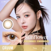 サンフラワー 10枚入 ワンデー -8.00 [カラーコンタクトレンズ]
