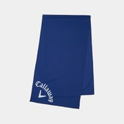 CWA22M C22198102_1111 BL [クールコアタオル ブルー]