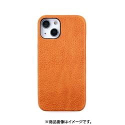 ABS22314i13 [iPhone 13用 BELUGA バックカバー タン]