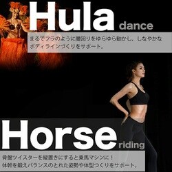 【美品】スタイリッシュジャパン　骨盤ツイスター 人気商品「骨盤ツイスター」が、お部屋に馴染みやすい新色に
